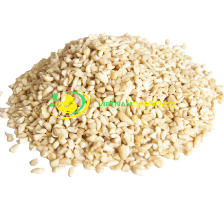 Cashew Nut BB 6 cashew nut bb