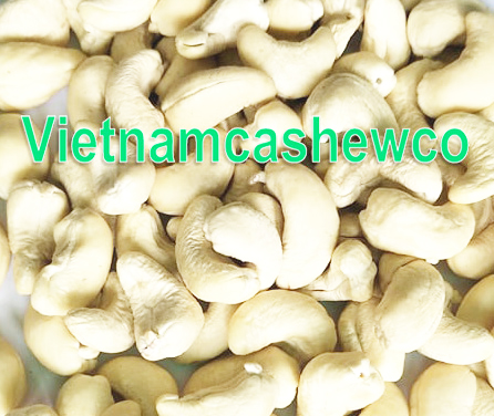 Cashew Nut SW240 6 cashew nut sw240