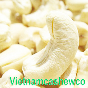 Viet nam Cashew Nut Catalog 1 cashew nut ww160