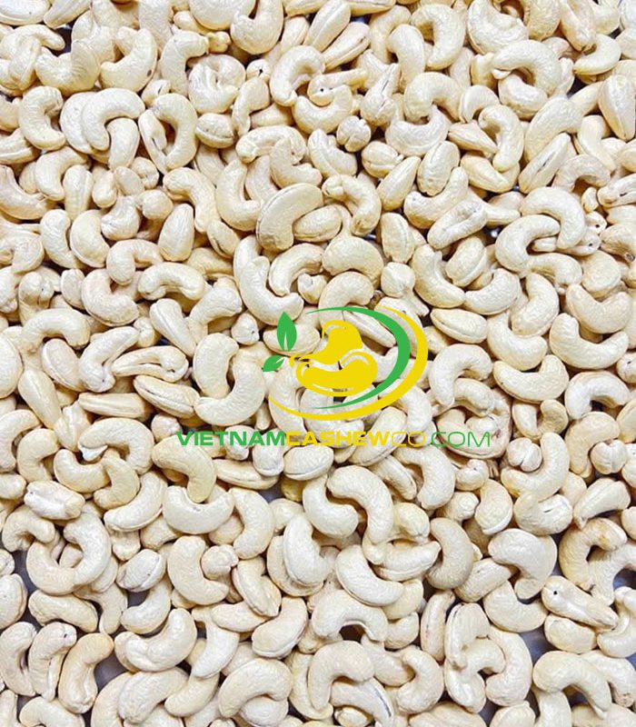 vietnam cashew binh phuoc