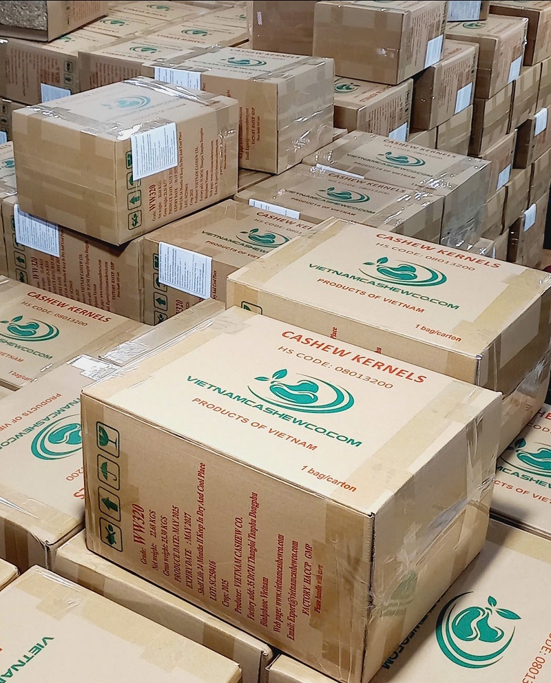 Viet Nam cashew export 2025