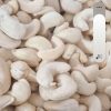 Cashew Nut SW180 8 cashew nut ww180