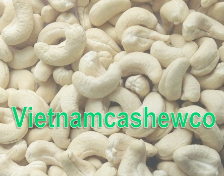 CASHEW-NUTS-WW240-VIETNAM-TOP-QUALITY