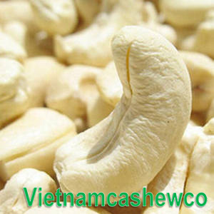 Cashew Nut WW160