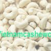 Cashew Nut WW240 12 cashew nut ww240