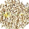 Cashew Nut SK 2 sk3 viet namcashew nut co