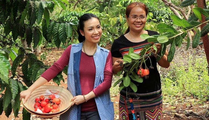 cashew in viet nam