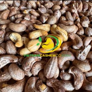 Premium Salted Roasted Testa Cashew Nut A210