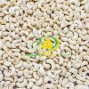 Cashew Nut WW180 13 vietnam cashew binh phuoc