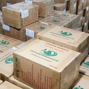 Viet Nam cashew export 2025